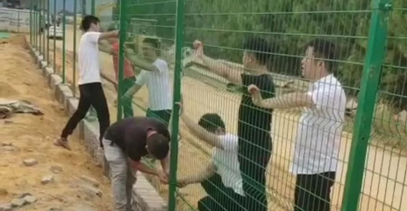 PP电子模拟器(试玩游戏)官方网站