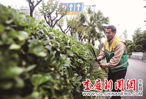 1462432909990759.jpg 7园林绿化工_副本.jpg